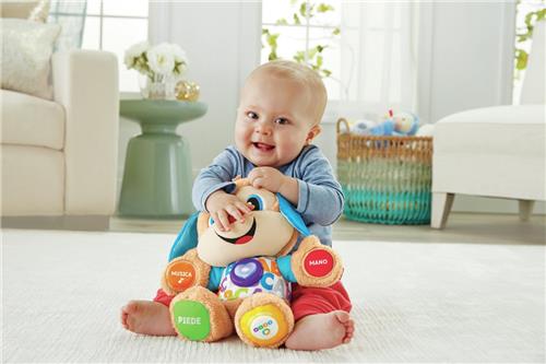 Fisher-Price FPM51 educatief speelgoed