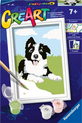 Ravensburger CreArt Border Collie - Schilderen op nummer voor kinderen