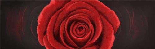 MiniArt Crafts red rose