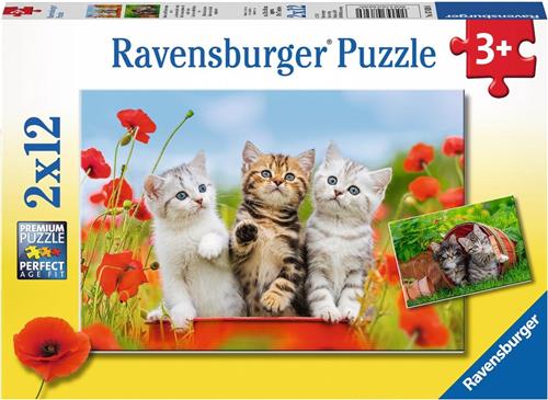 Ravensburger puzzel Katjes op ontdekkingsreis - 2x12 stukjes - kinderpuzzel