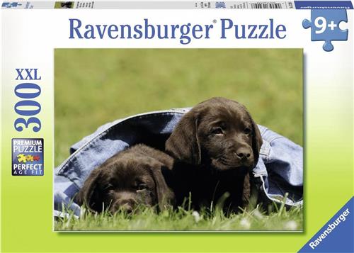 Ravensburger puzzel Labrador pups - Legpuzzel - 300 stukjes