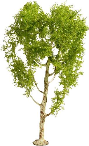 NOCH 20125 Boom Zachte berk 210 mm 1 stuk(s)