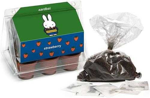 Nijntje aardbeien kweekkasje