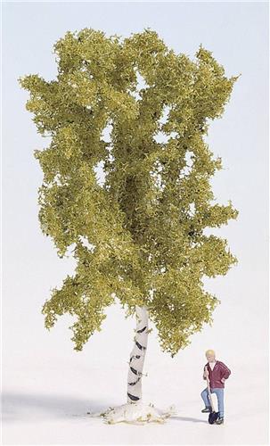 NOCH 28120 Boom Berk 100 mm 1 stuk(s)