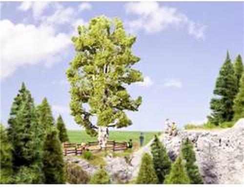 NOCH 0021641 Boom Berk 190 mm 1 stuk(s)