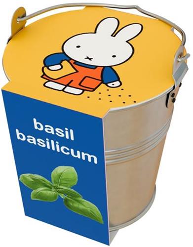Nijntje Kruiden in zinken emmertje Basilicum..