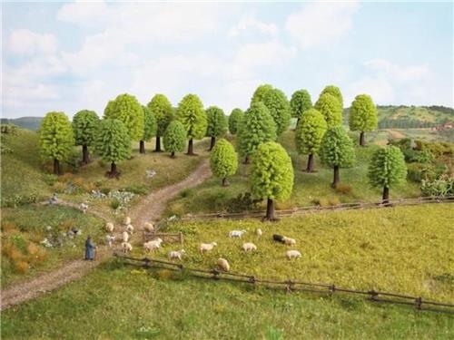 NOCH Hobby 32801 Set bomen Loofboom 35 tot 50 mm 25 stuk(s)