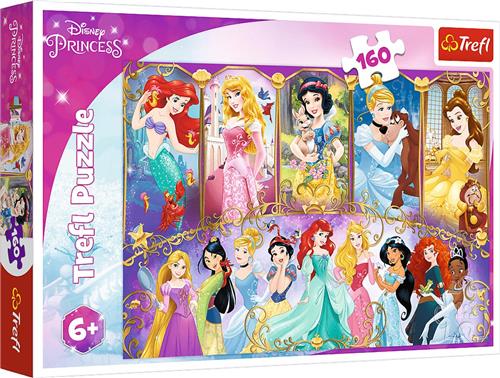 Trefl Trefl 160 - Princesses portraits / Disney Princess.