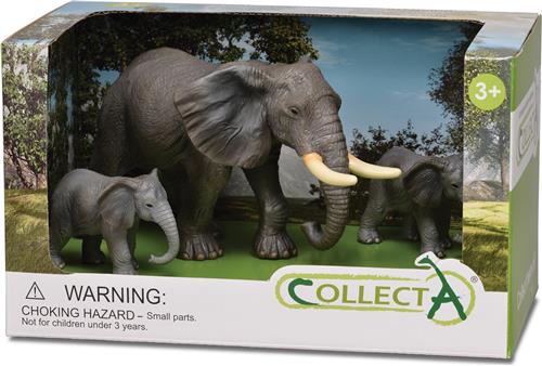 Collecta Wildlife Olifant In Open Doos Figuur 3stukken Veelkleurig 3-6 Years