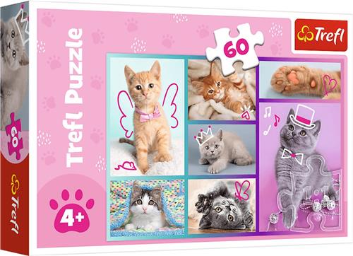 Trefl Trefl 60 - Cute cats.