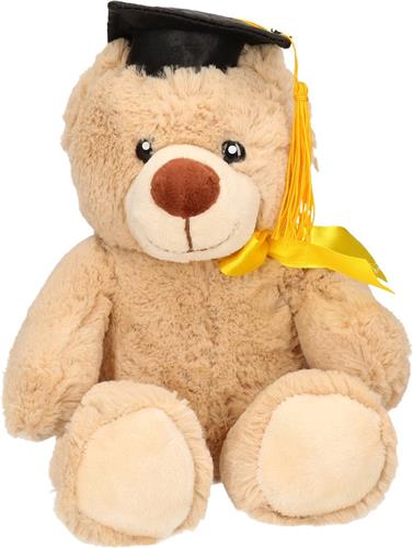 Geslaagd thema cadeau beer beige 20 cm - Pluche afstudeer knuffelbeer kado